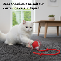 Le Roulik™
