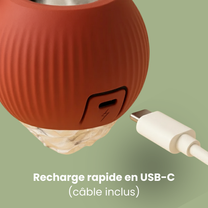 Le Roulik™