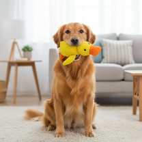 Le Couinard - Canard anti-stress