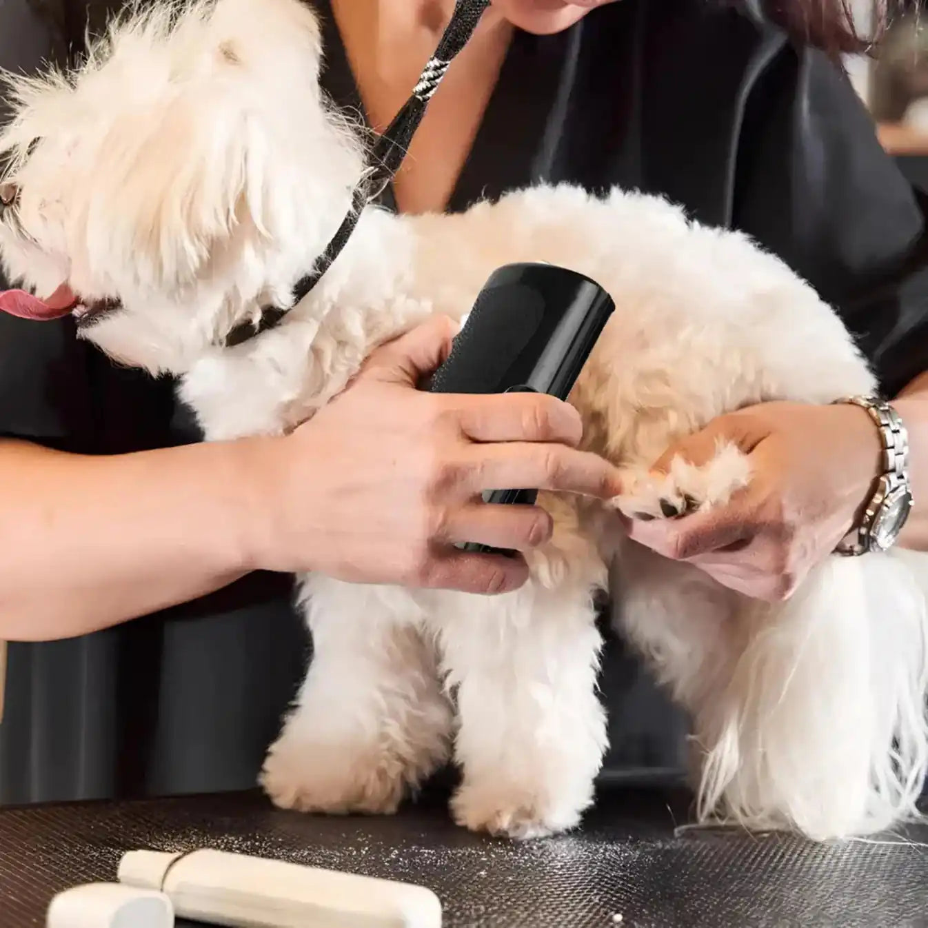 Le BrosseMatic™ – Brosse Anti-Poils Chiens