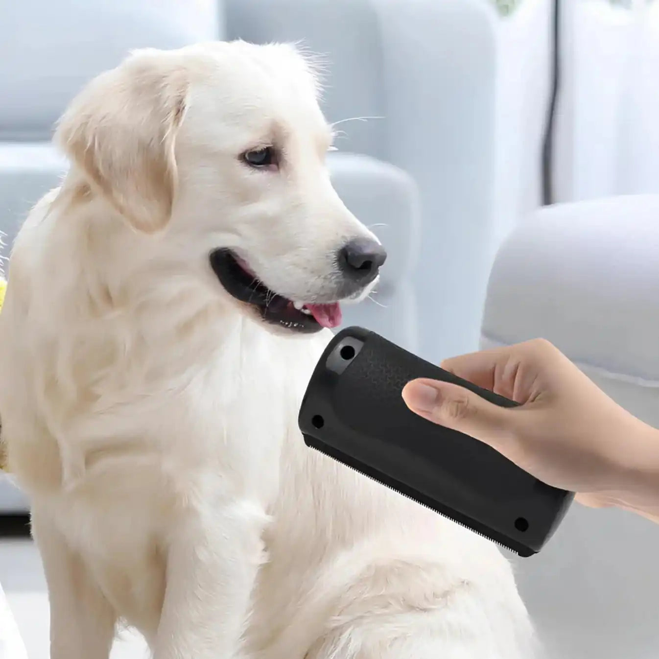 Le BrosseMatic™ – Brosse Anti-Poils Chiens