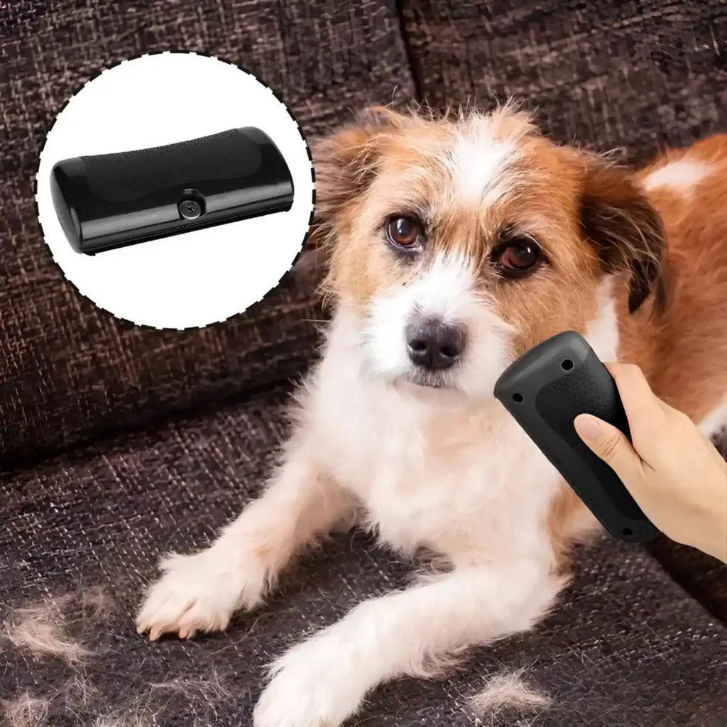 Le BrosseMatic™ – Brosse Anti-Poils Chiens