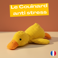 Le Couinard - Canard anti-stress