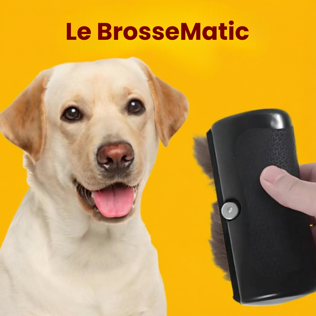 Le BrosseMatic™ – Brosse Anti-Poils Chiens