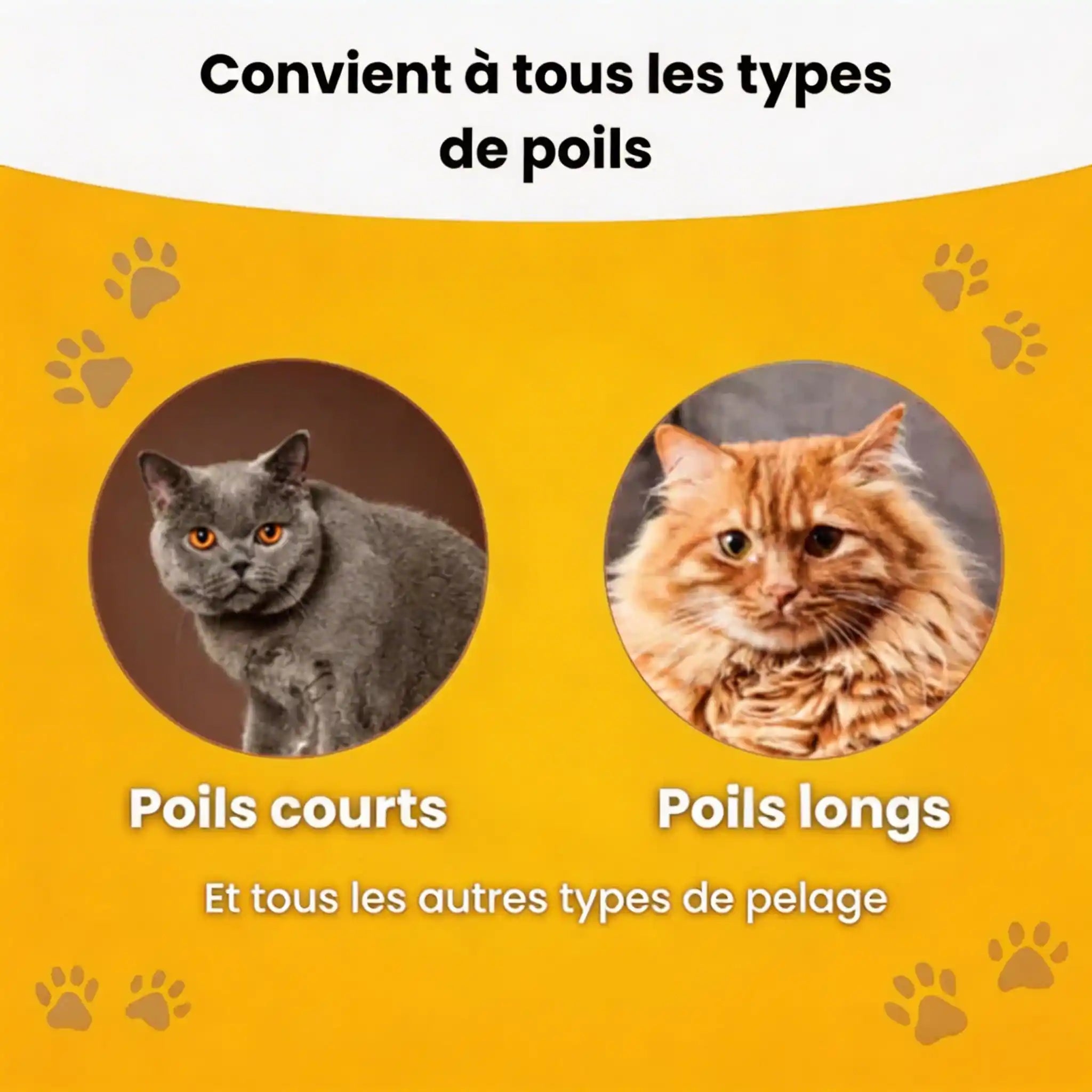Le BrosseMatic™ – Brosse Anti-Poils Chiens