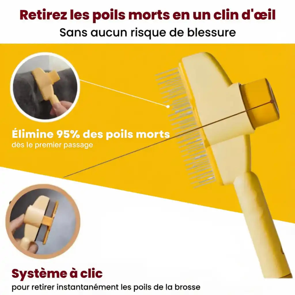Le BrosseMatic™ – Brosse Anti-Poils Chiens